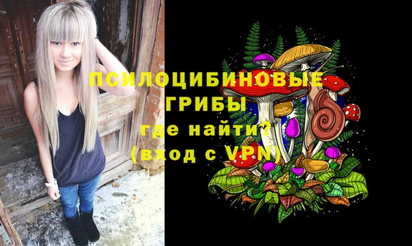 прущая мука Белокуриха