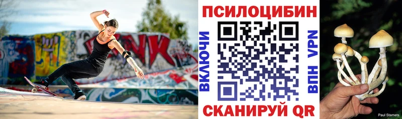 Галлюциногенные грибы Psilocybe  Завитинск 